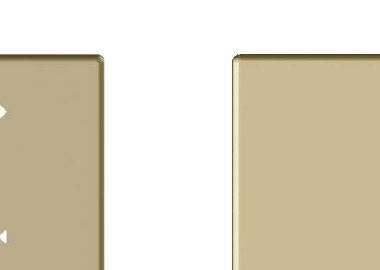 Blank Plate — Lavish Gold