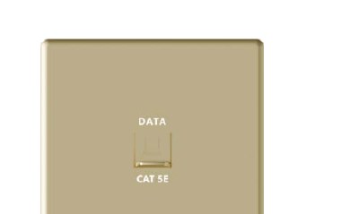 Computer Outlet CAT5 — Lavish Gold
