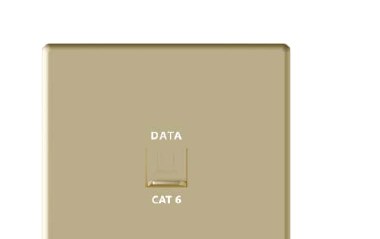 Computer Outlet CAT6 — Lavish Gold