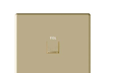 Telephone Outlet RJ11 — Lavish Gold